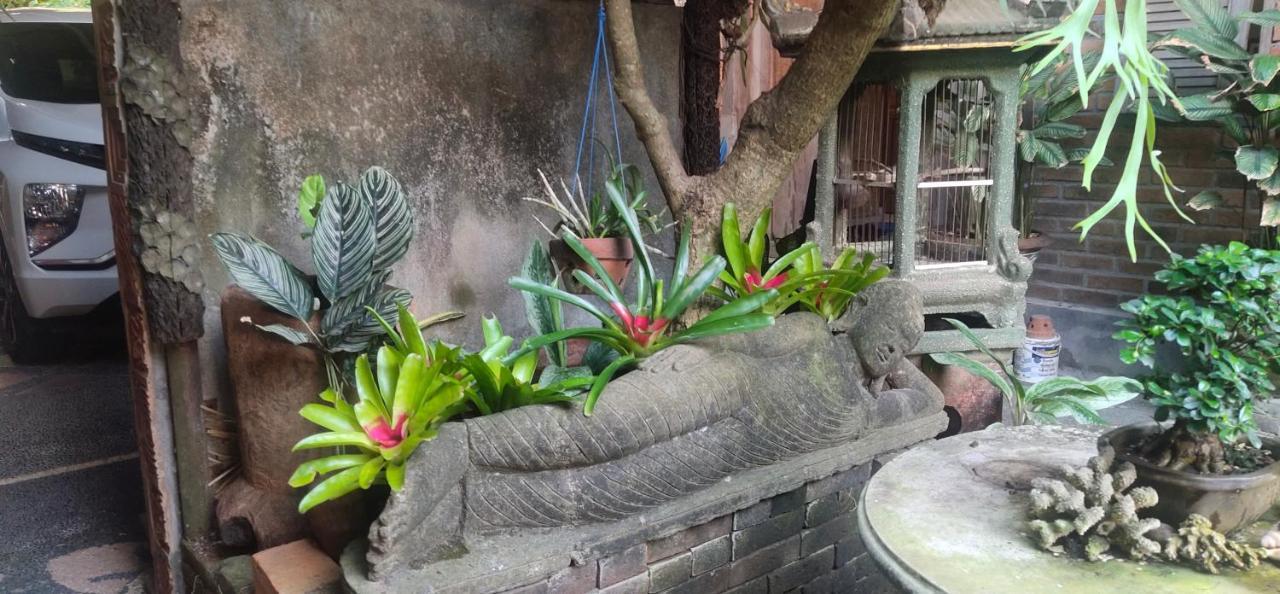 Samblung Mas House Daire Denpasar Dış mekan fotoğraf